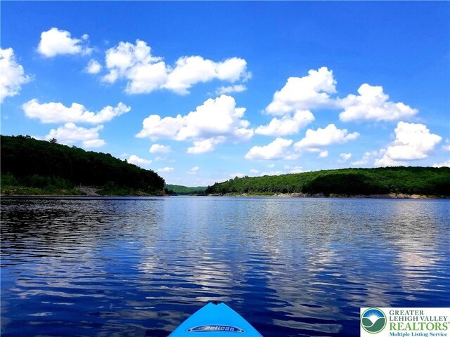115 Foxfire Unit 306, Mount Pocono Boro, PA 18334 - water view