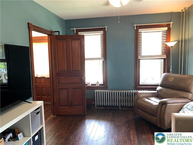 665 Walnut St, Emmaus Borough, PA 18049 - living area featuring radiator, plenty of natural light, dark wood finished floors, and ceiling fan