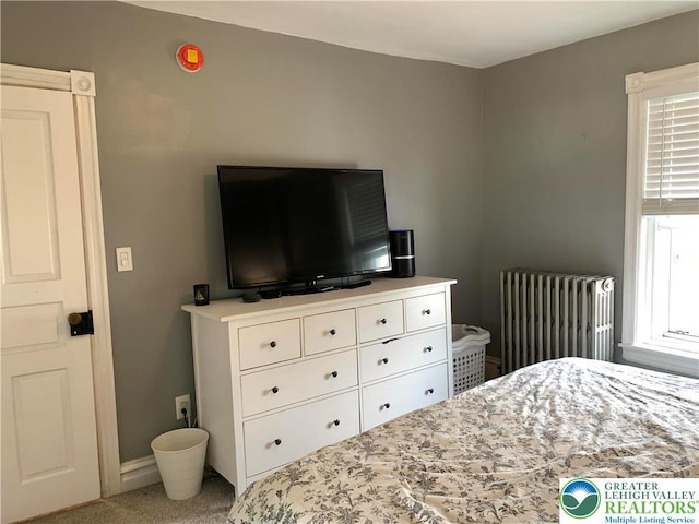 665 Walnut St, Emmaus Borough, PA 18049 - bedroom with radiator heating unit and carpet flooring