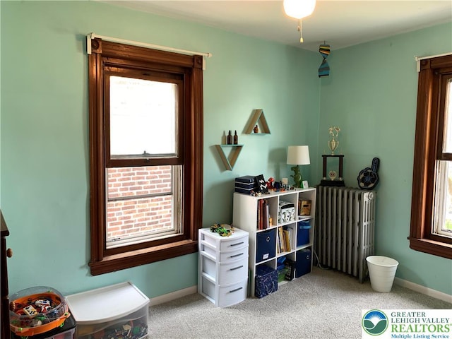 665 Walnut St, Emmaus Borough, PA 18049 - recreation room featuring radiator heating unit, healthy amount of natural light, and carpet