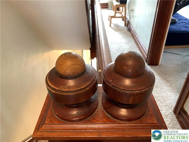 665 Walnut St, Emmaus Borough, PA 18049 - detailed view of carpet flooring and baseboards