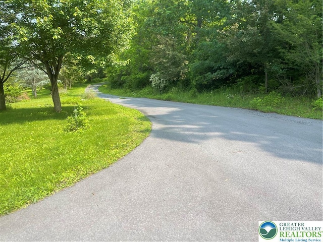459 Mount Pleasant Rd, Washington Twp, PA 18013 - view of asphalt road
