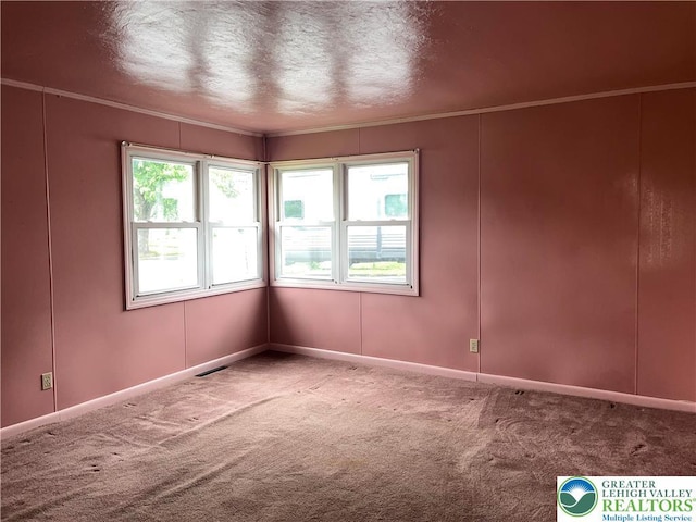2115 Fireside Dr, Bethlehem City, PA 18018 - spare room with carpet floors, crown molding, and a textured ceiling