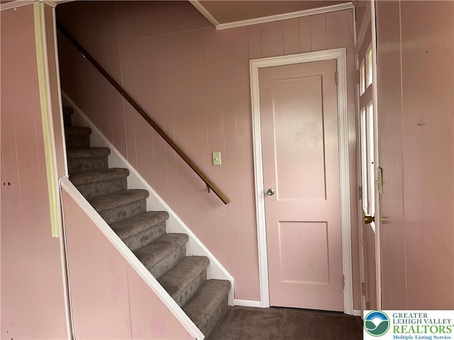 2115 Fireside Dr, Bethlehem City, PA 18018 - staircase with carpet floors