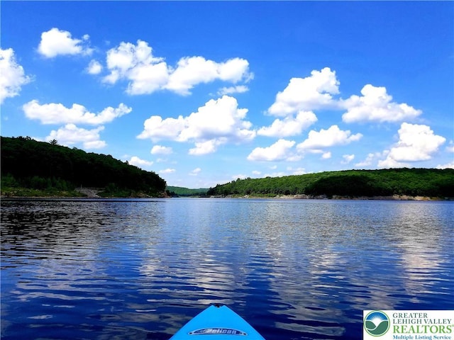 143 Cathleen Dr, Price Twp, PA 18302 - water view