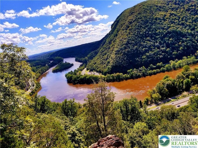 143 Cathleen Dr, Price Twp, PA 18302 - mountain view featuring a large body of water and a heavily wooded area