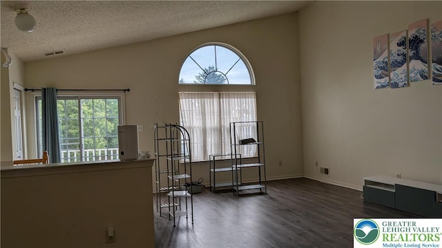1926 Delancey St, Hellertown Borough, PA 18055 - exercise room with wood finished floors, lofted ceiling, and a textured ceiling