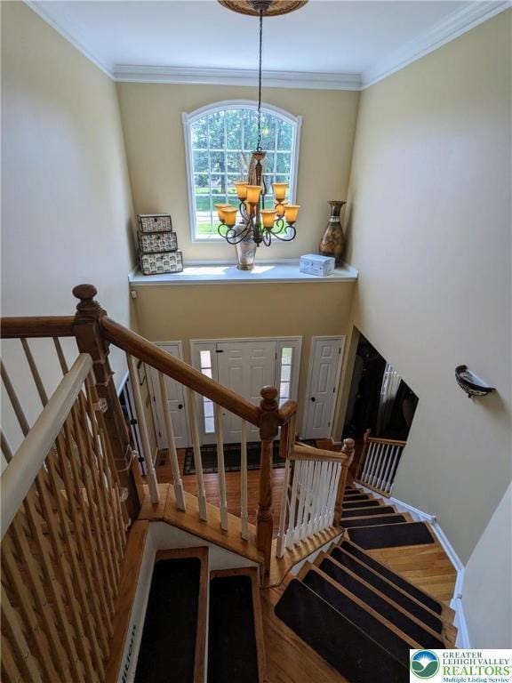 131 Winding Way, Washington Twp, PA 18013 - stairs featuring a chandelier, wood finished floors, and crown molding