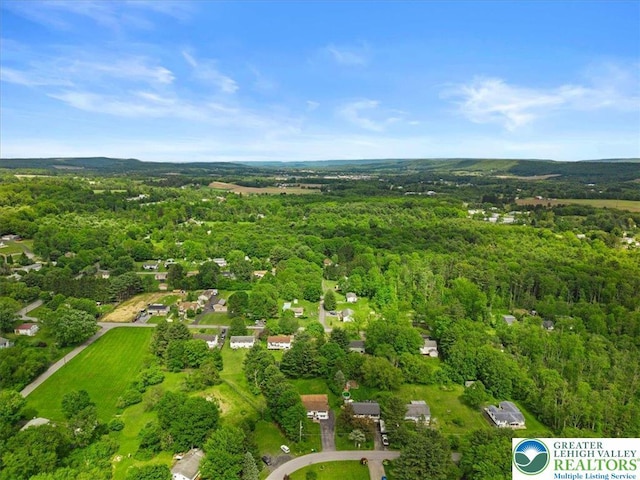 3315 Aspen Rd, Polk Twp, PA 18058 - bird's eye view of a forest