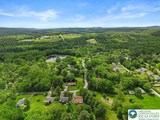 3315 Aspen Rd, Polk Twp, PA 18058 - drone / aerial view of a heavily wooded area