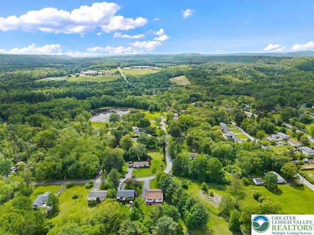 3315 Aspen Rd, Polk Twp, PA 18058 - drone / aerial view of a forest