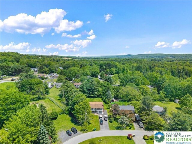 3315 Aspen Rd, Polk Twp, PA 18058 - bird's eye view of a forest