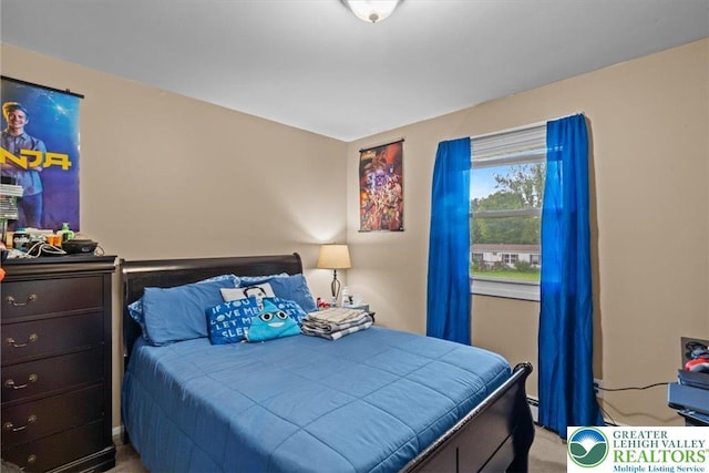 3315 Aspen Rd, Polk Twp, PA 18058 - view of carpeted bedroom
