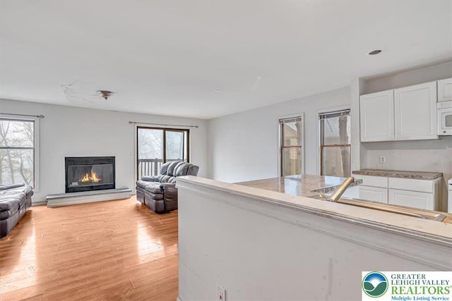 417 Hickory Dr, Jackson Twp, PA 18372 - living area featuring light wood-type flooring and a glass covered fireplace