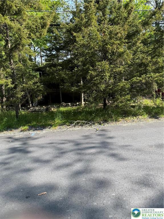 9817 Deerwood Dr, Coolbaugh Twp, PA 18466 - view of road