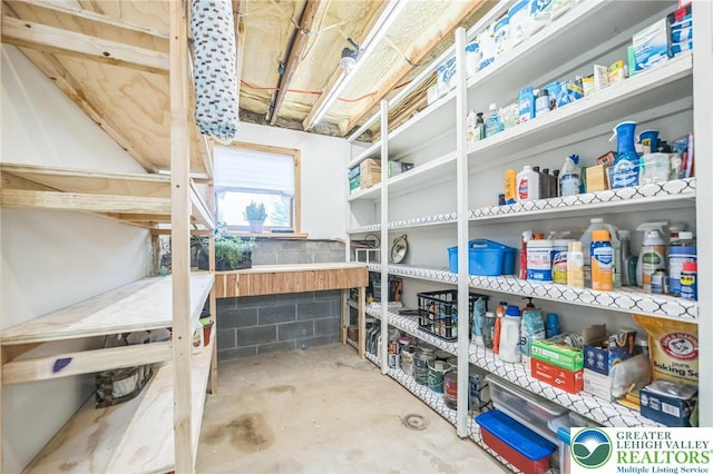 2922 Dogwood Dr, Coopersburg Boro, PA 18036 - view of storage room