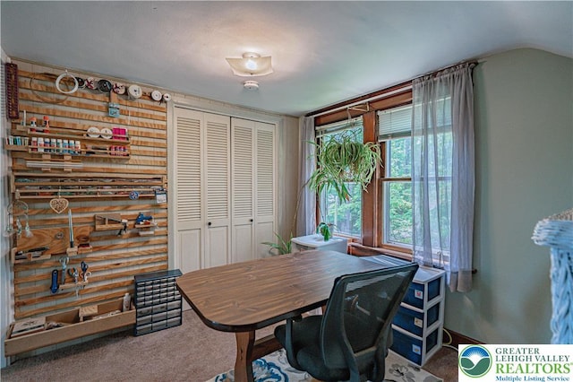 636 School Rd, Plainfield Twp, PA 18064 - carpeted office with vaulted ceiling