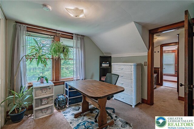636 School Rd, Plainfield Twp, PA 18064 - office area featuring carpet and lofted ceiling