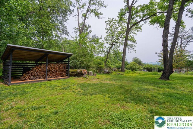 636 School Rd, Plainfield Twp, PA 18064 - view of green lawn