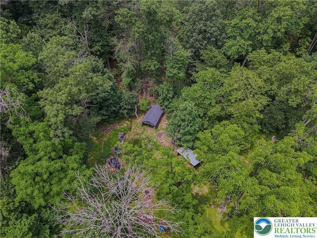 636 School Rd, Plainfield Twp, PA 18064 - drone / aerial view of a forest