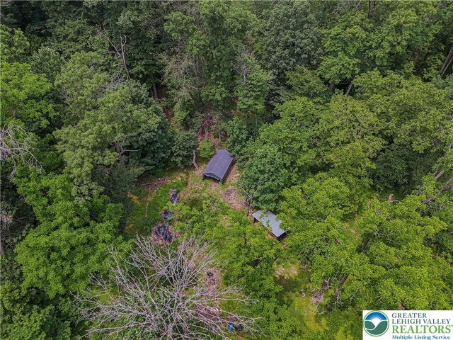 636 School Rd, Plainfield Twp, PA 18064 - drone / aerial view of a forest