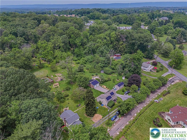 636 School Rd, Plainfield Twp, PA 18064 - drone / aerial view of a forest