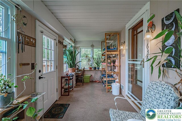 636 School Rd, Plainfield Twp, PA 18064 - sunroom with carpet and healthy amount of natural light