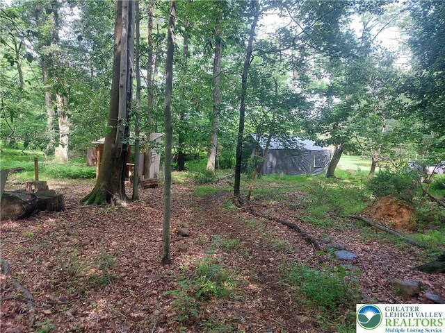 636 School Rd, Plainfield Twp, PA 18064 - view of yard