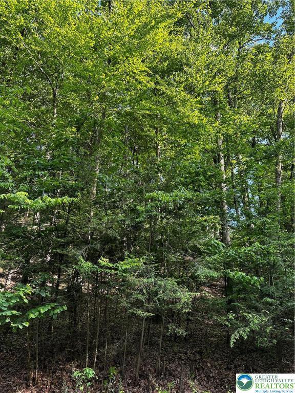 September Cir Lot 46, East Stroudsburg, PA 18301 - view of wooded area