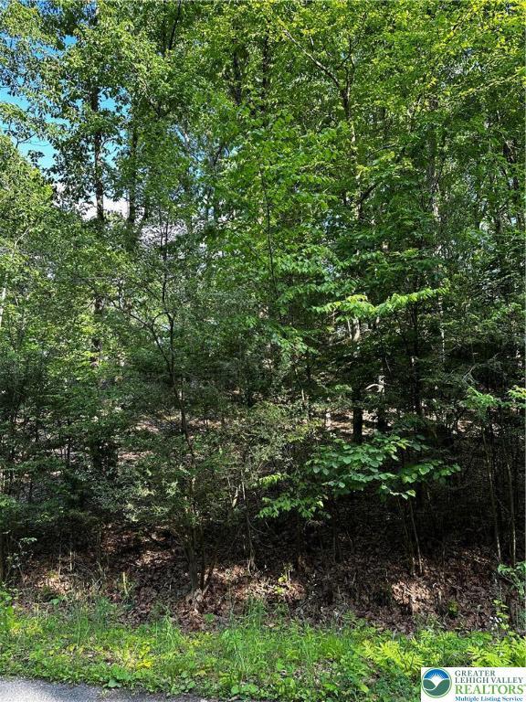 September Cir Lot 46, East Stroudsburg, PA 18301 - view of tree filled area