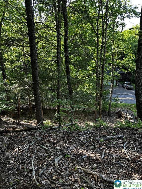 September Cir Lot 46, East Stroudsburg, PA 18301 - view of tree filled area