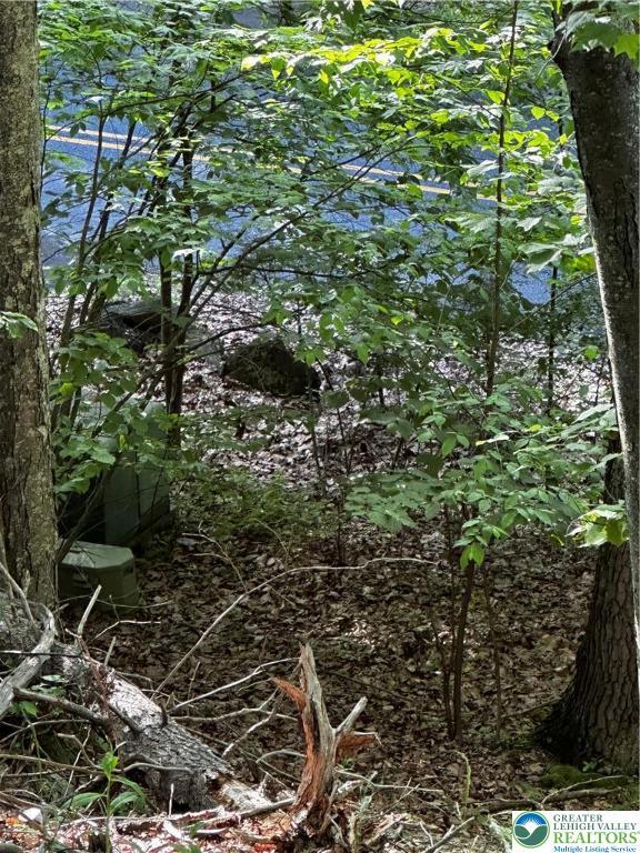 September Cir Lot 46, East Stroudsburg, PA 18301 - view of nature