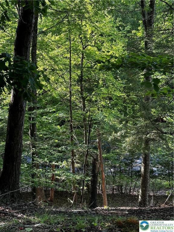 September Cir Lot 46, East Stroudsburg, PA 18301 - view of wooded area