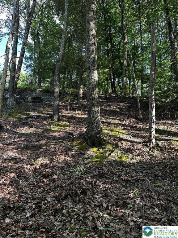 September Cir Lot 46, East Stroudsburg, PA 18301 - view of nature