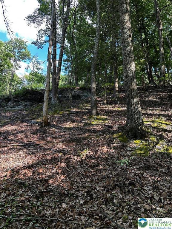 September Cir Lot 46, East Stroudsburg, PA 18301 - view of local wilderness