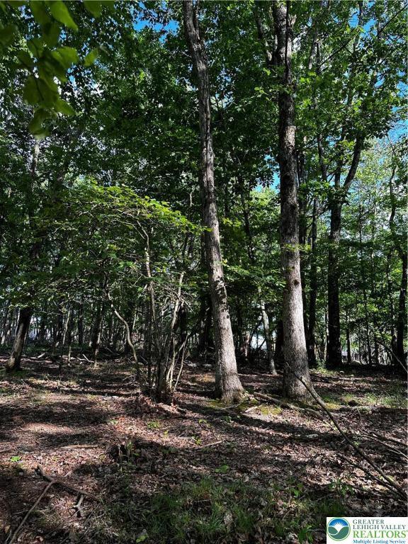 September Cir Lot 46, East Stroudsburg, PA 18301 - view of nature