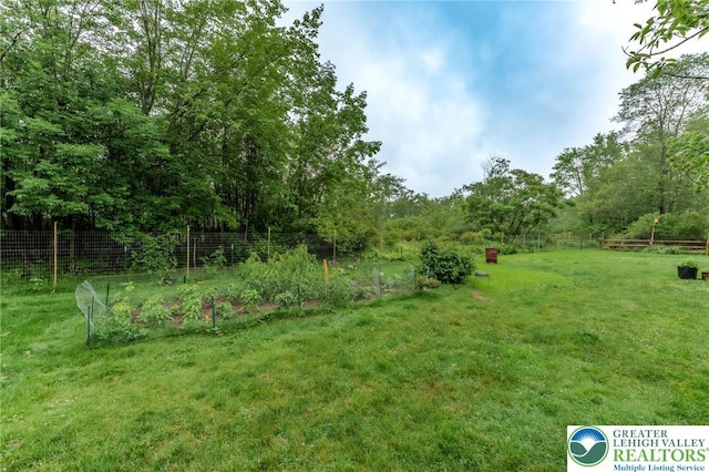 1571 Penn Dr, West Penn Twp, PA 18211 - view of yard featuring a vegetable garden