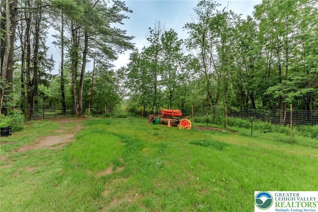 1571 Penn Dr, West Penn Twp, PA 18211 - view of yard