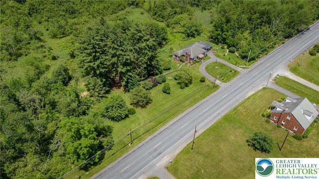 1571 Penn Dr, West Penn Twp, PA 18211 - drone / aerial view