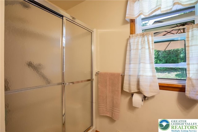 7035 Scenic Dr, Bloomsburg, PA 17815 - full bath with an enclosed shower