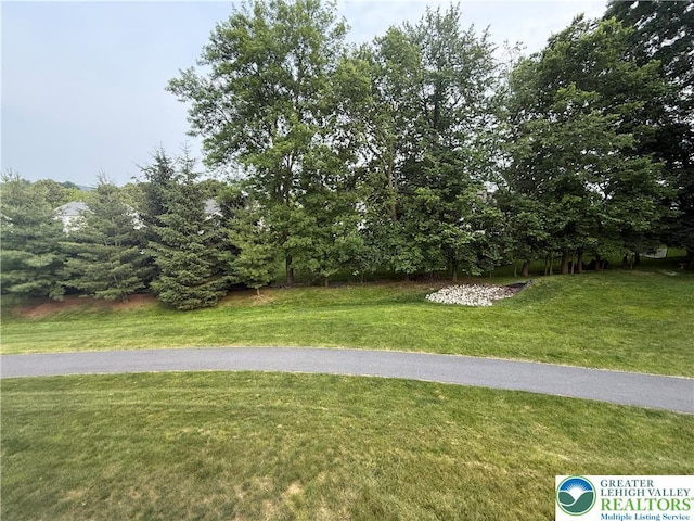 23 Yellow Rose Ln, Easton, PA 18045 - view of grassy yard