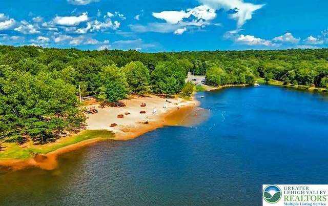 91 Wintergreen Trl, Penn Forest Twp, PA 18210 - drone / aerial view of a forest and a nearby body of water