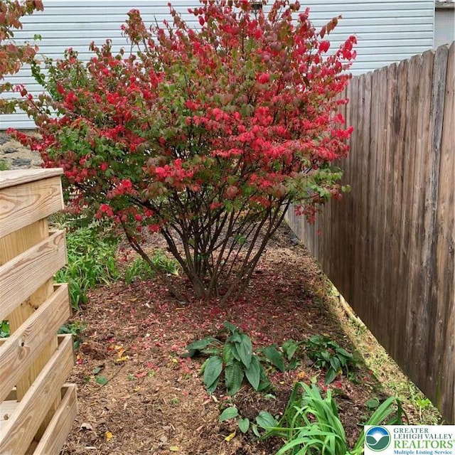 1002 Lehigh St, Easton, PA 18042 - view of yard
