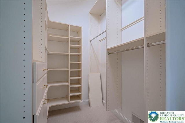 1450 Coventry Rd, South Whitehall Twp, PA 18104 - spacious closet with carpet
