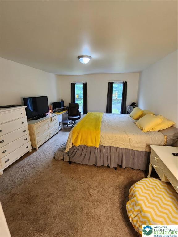 7 Twelve Oaks Trl, Chestnuthill Twp, PA 18353 - view of carpeted bedroom