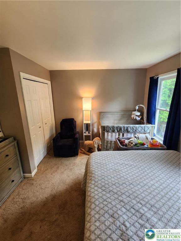7 Twelve Oaks Trl, Chestnuthill Twp, PA 18353 - view of carpeted bedroom