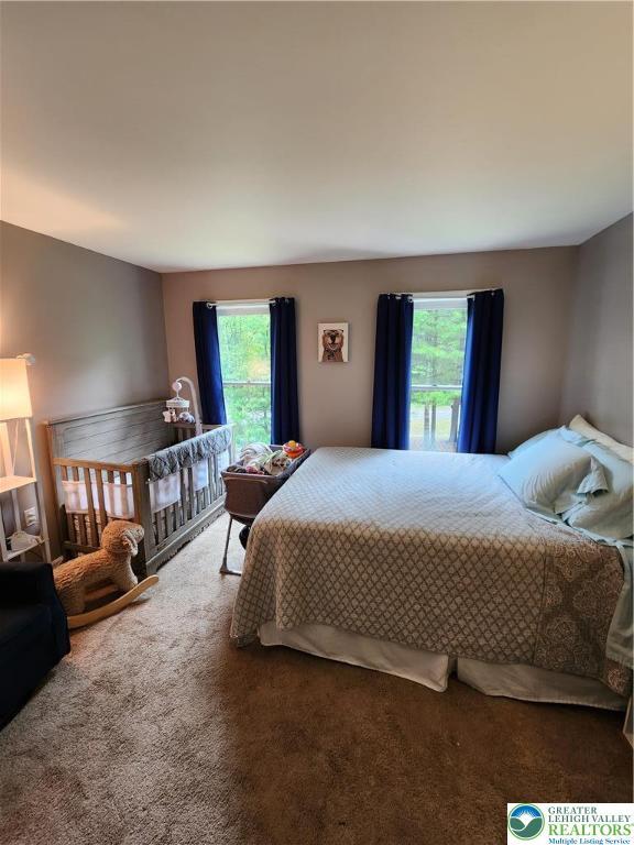 7 Twelve Oaks Trl, Chestnuthill Twp, PA 18353 - view of carpeted bedroom