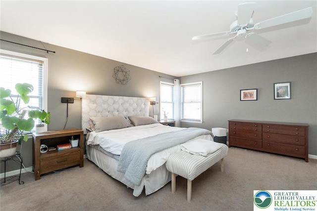 21 Millbrook Ct, Palmer Twp, PA 18045 - bedroom with carpet and a ceiling fan