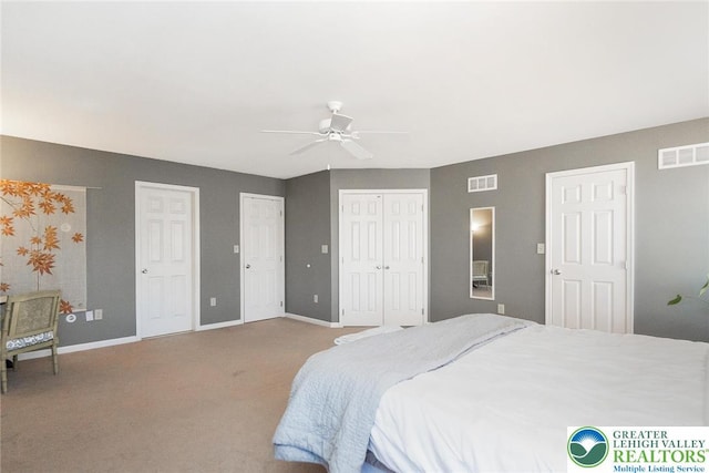 21 Millbrook Ct, Palmer Twp, PA 18045 - bedroom with multiple closets, carpet, and a ceiling fan