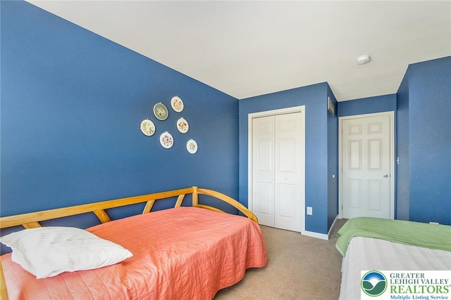 21 Millbrook Ct, Palmer Twp, PA 18045 - carpeted bedroom with a closet and baseboards